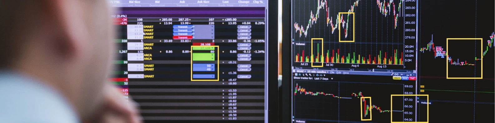 Financial Services Data Annotations Header